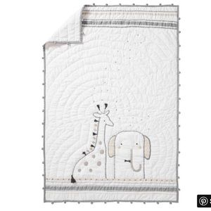 Pottery Barn Kids Rowan Toddler Quilt
